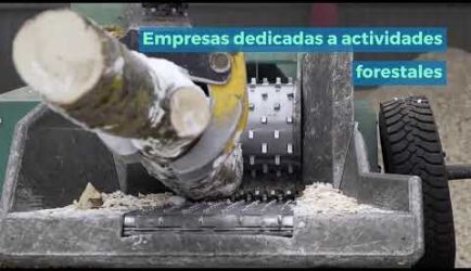 Cursar a Distancia para ser Trabajador Forestal: puestos de trabajo y cuál será tu salario