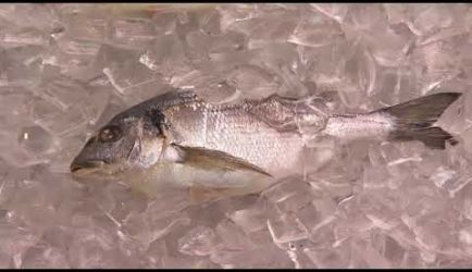 Vídeo sobre salidas laborales y el salario que ganará un titulado de Elaborador de Conservas de Productos de la Pesca