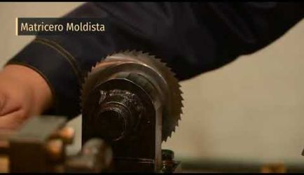 Vídeo de los puestos de trabajo y el sueldo que ganará un graduado a Distancia de Matricero Moldista